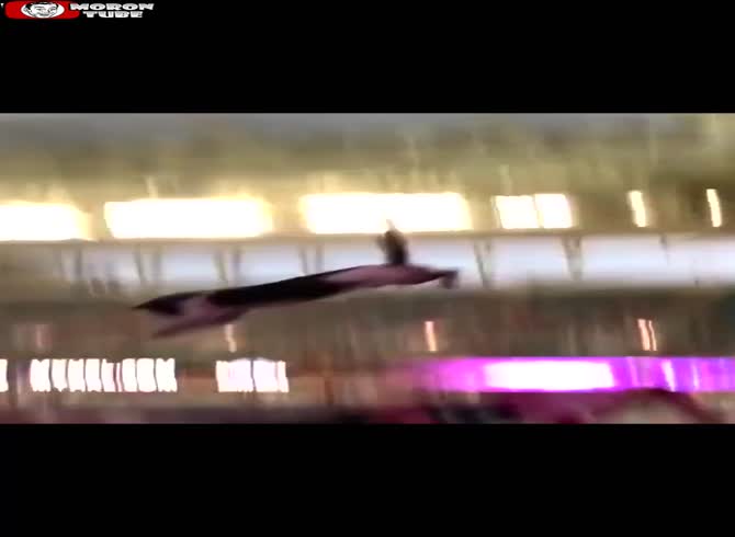 Video :A cat falls meters into a stadium at a terrifying moment